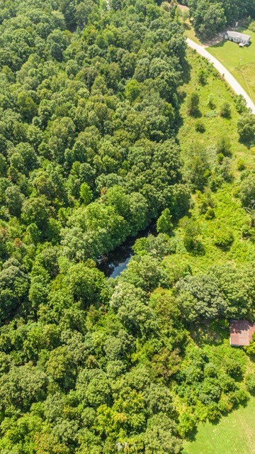 0 Terrell Road Erin, TN 37061 - Photo 11 of 11 a view of a big yard with plants and large trees