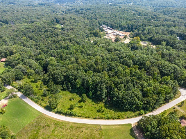 0 Terrell Road Erin, TN 37061 - Photo 6 of 11 a view of a plant in a garden