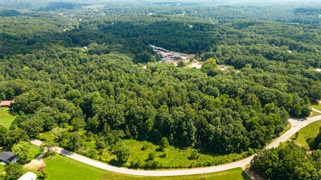 0 Terrell Road Erin, TN 37061 - Photo 7 of 11 a view of a forest with a sink
