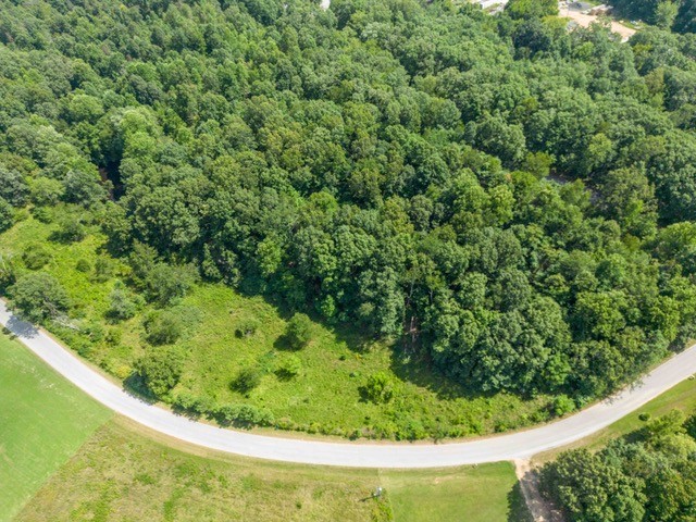0 Terrell Road Erin, TN 37061 - Photo 8 of 11 a view of a garden in a house