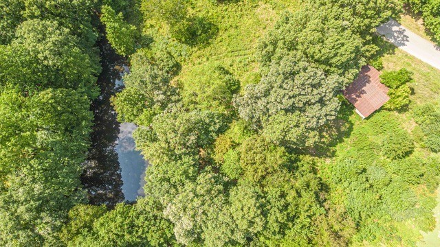 0 Terrell Road Erin, TN 37061 - Photo 10 of 11 a backyard of a house with lots of plants
