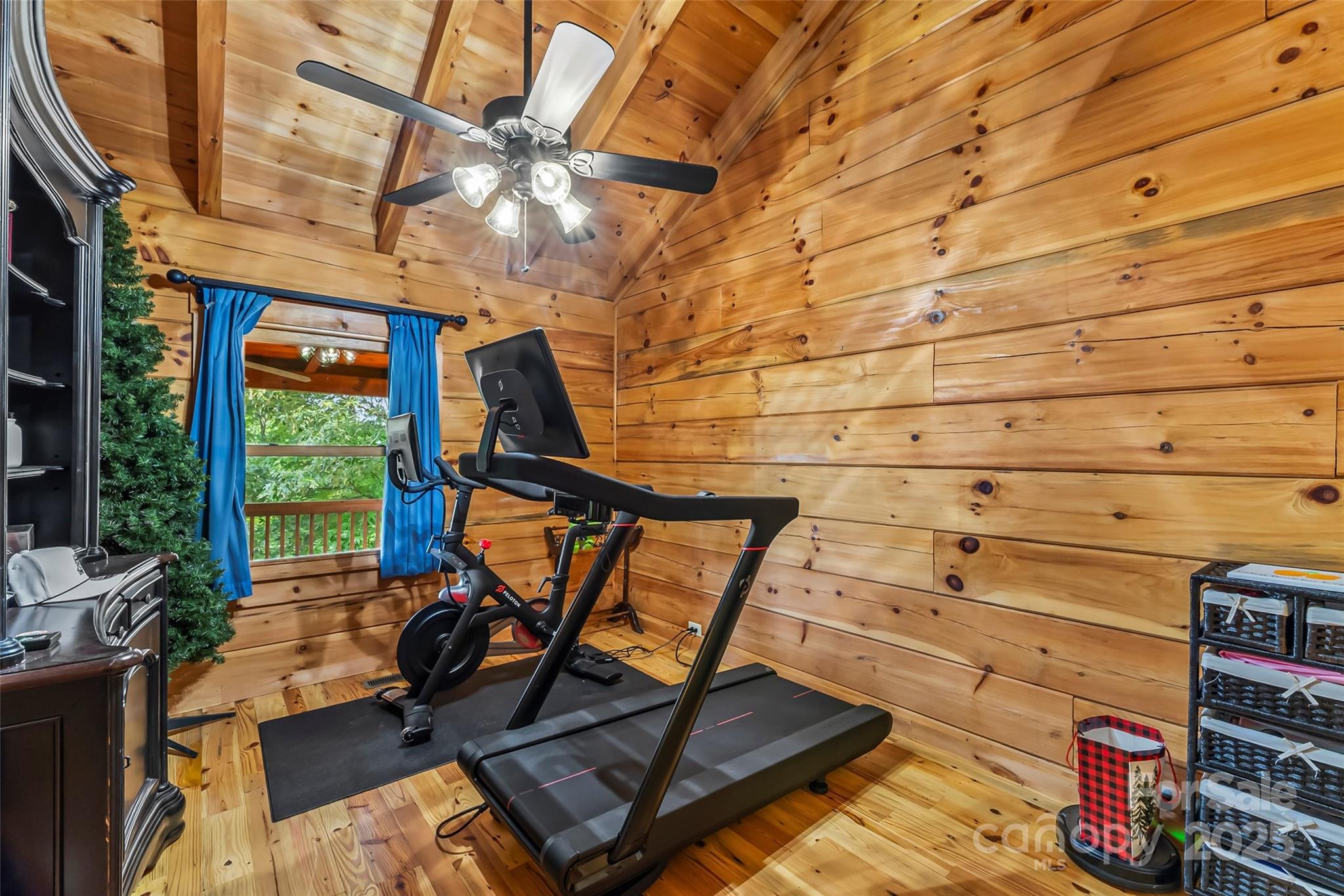 279 Outback Trail Nebo, NC 28761 - Photo 30 of 45 a view of a room with gym equipment