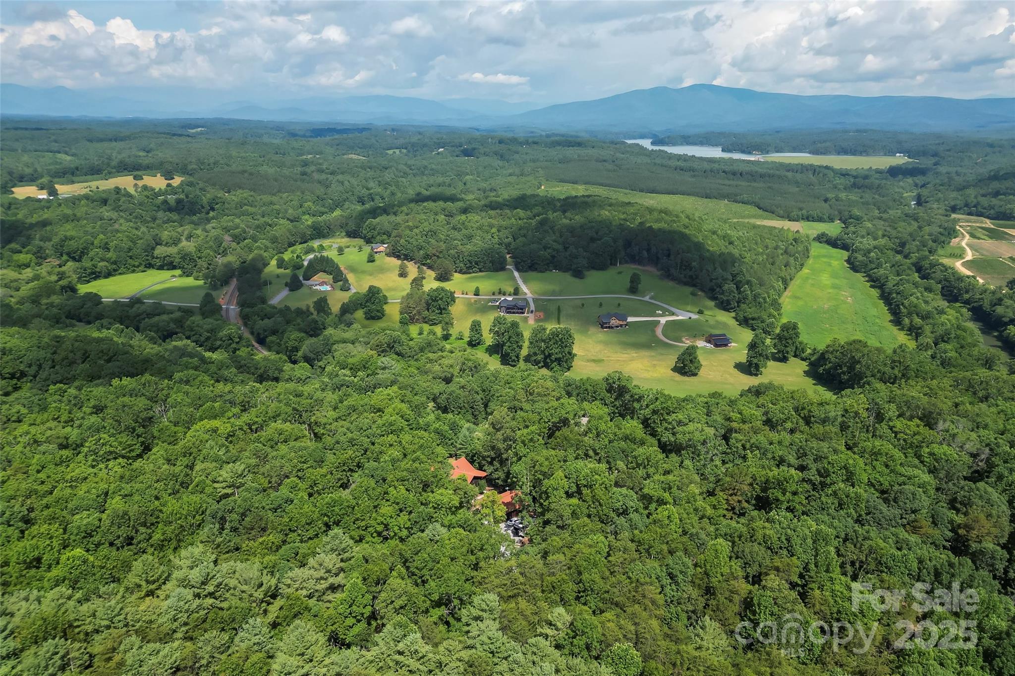 279 Outback Trail Nebo, NC 28761 - Photo 43 of 45 a view of a lush green forest with lots of trees