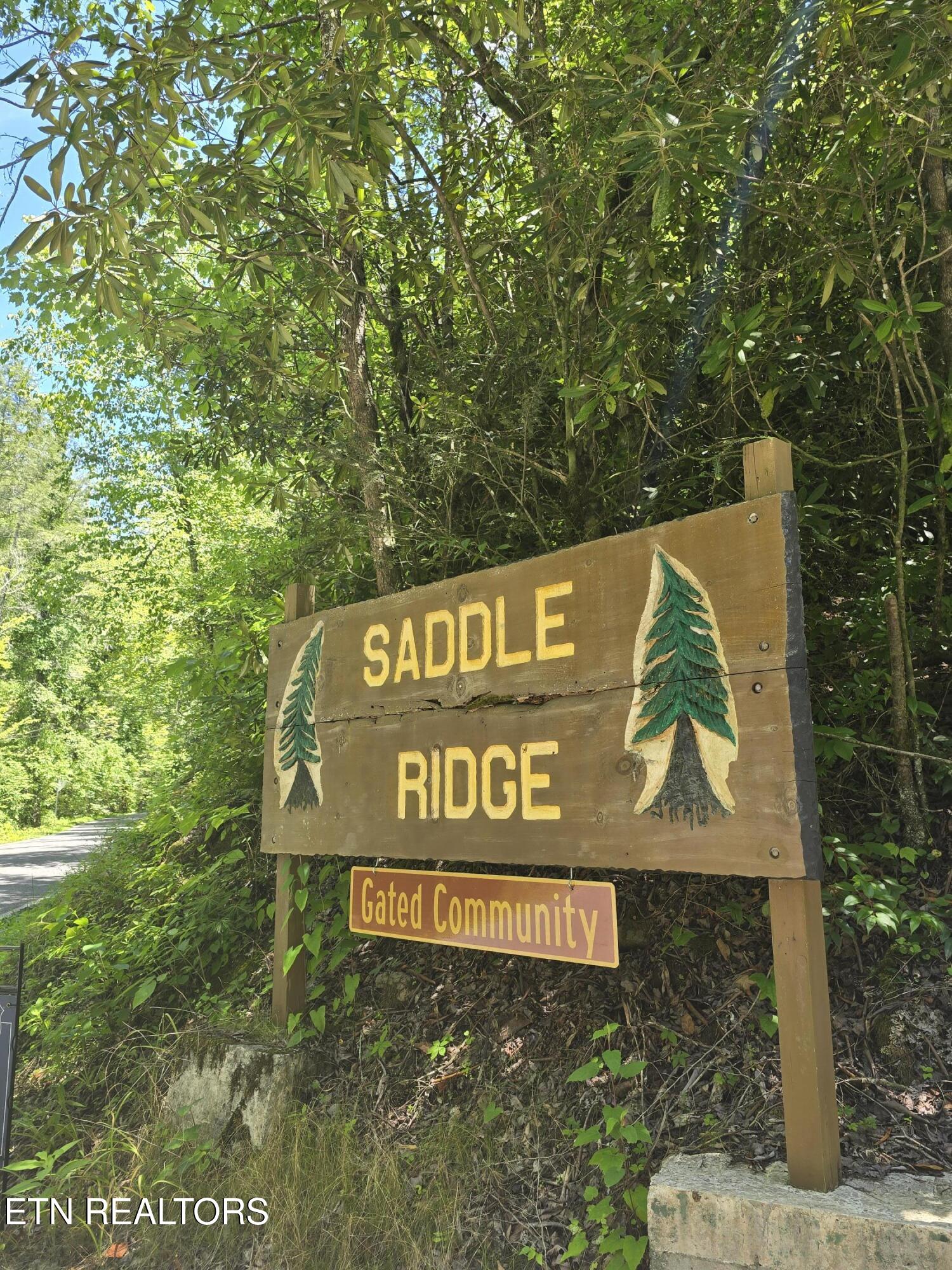 Overlook View Road Walland, TN 37886 - Photo 2 of 6 20250714_145025