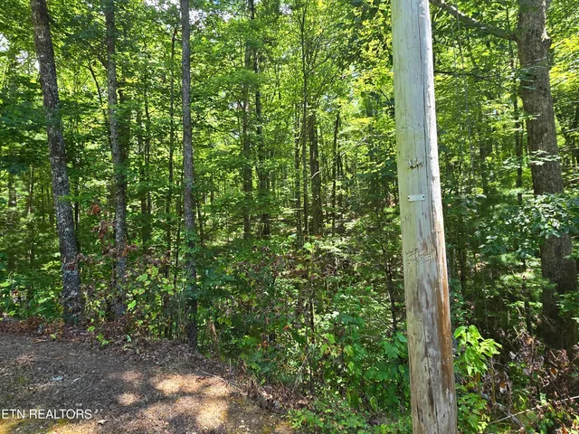 $32,500 | Overlook View Road, Walland, TN 37886