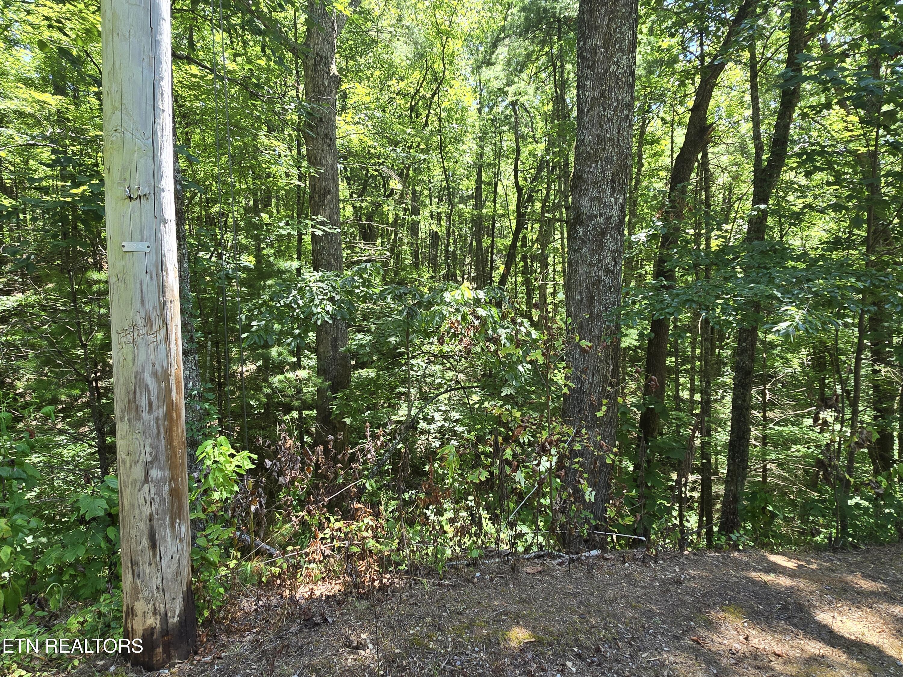 Overlook View Road Walland, TN 37886 - Photo 5 of 6 20250714_140907