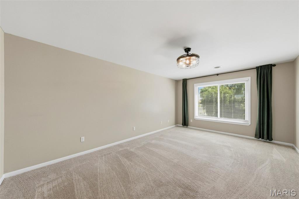 1316 Summerfield Drive Waterloo, IL 62298 - Photo 29 of 48