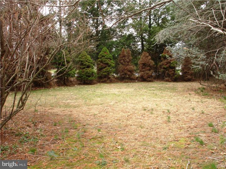 111 Moyer Road Chalfont, PA 18914 - Photo 18 of 21 Gallery Image 18
