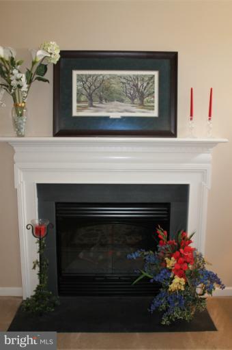 1321 Stallion Street Ranson, WV 25438 - Photo 4 of 29 Family Room