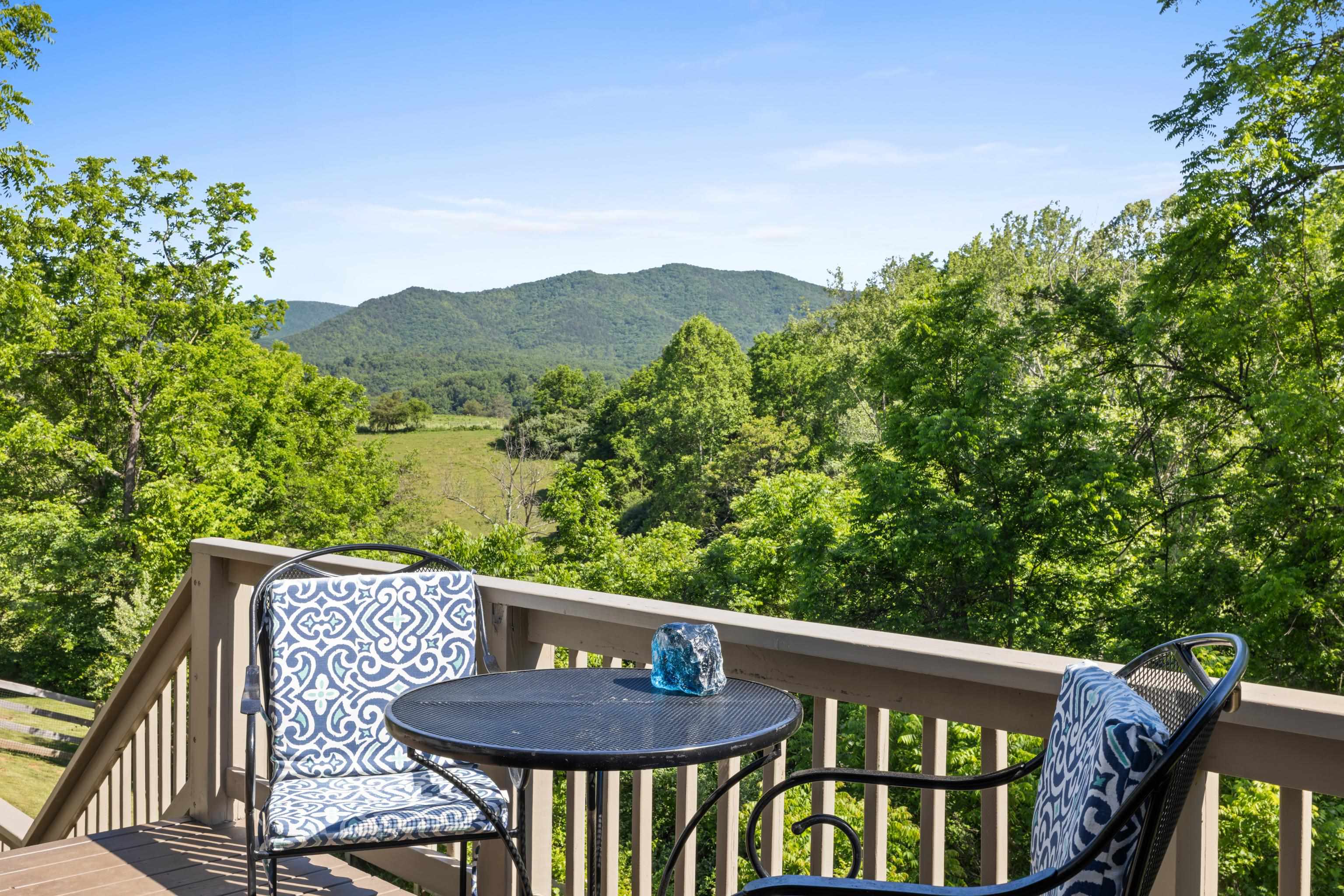 560 Agners Mill Road Lexington, VA 24450 - Photo 54 of 74 Deck Off Screened Porch
