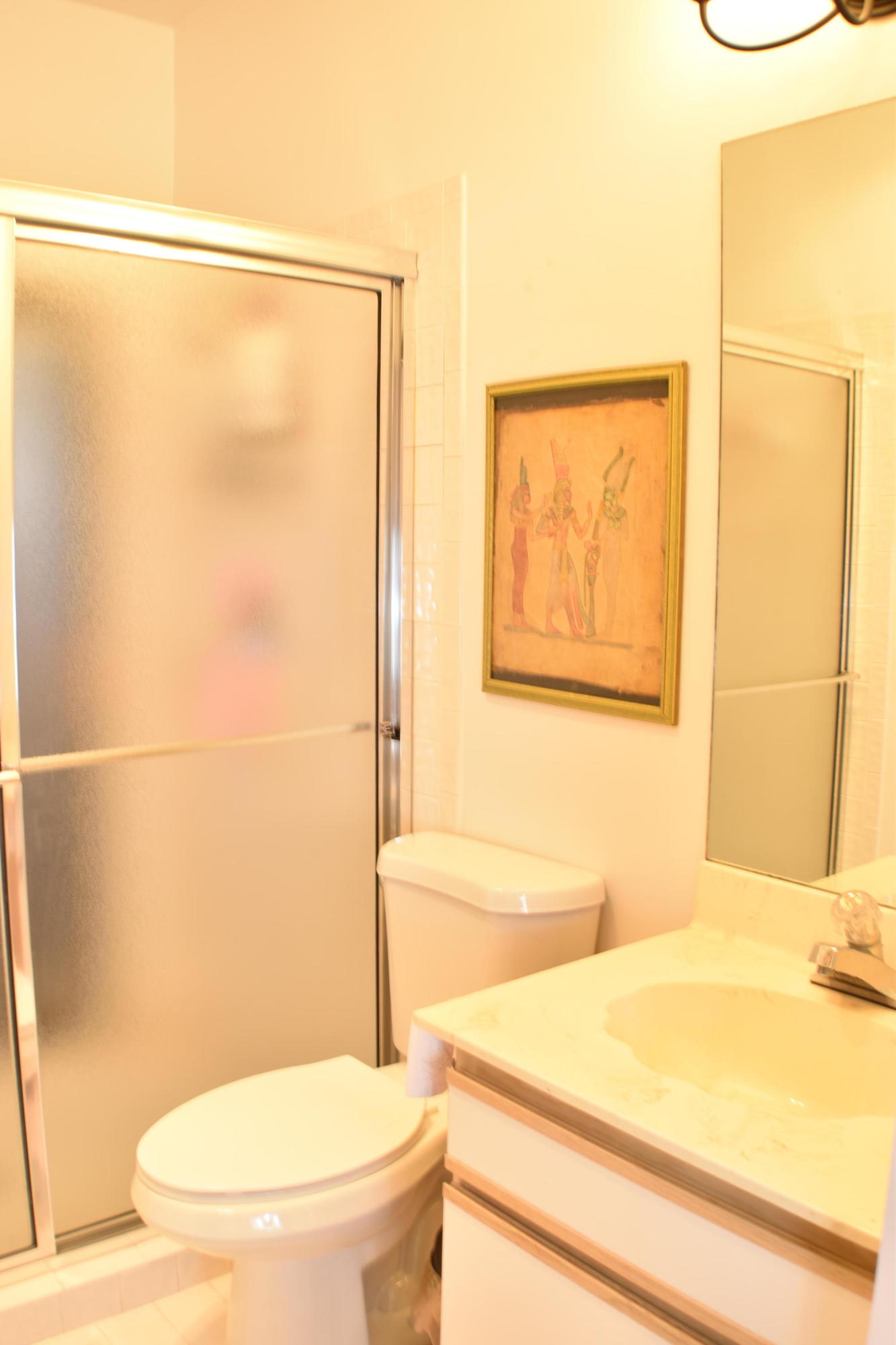949 Lake Wyman Road Boca Raton, FL 33431 - Photo 12 of 17 G-Bath 2