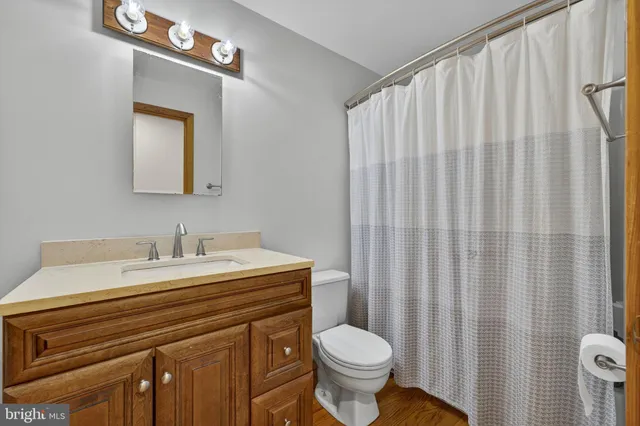 a view of a large yard with large trees