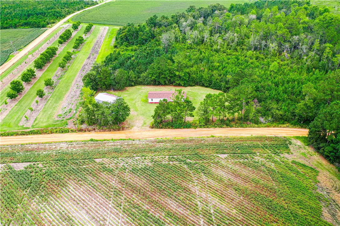 540 Freddy Road Odum, GA 31555 - Photo 38 of 41