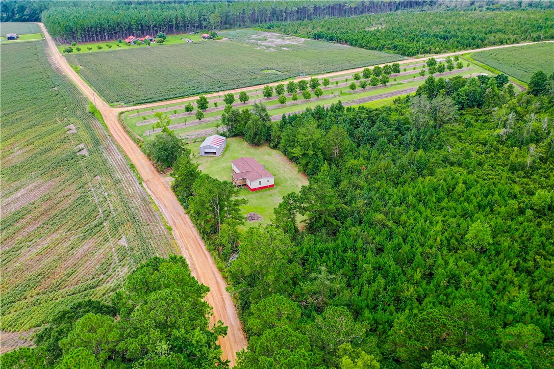 540 Freddy Road Odum, GA 31555 - Photo 7 of 41