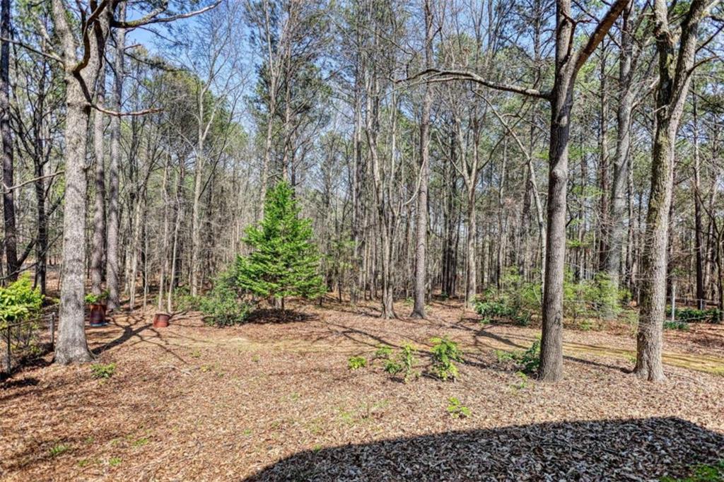 2740 Dennard Road Northeast Conyers, GA 30013 - Photo 43 of 51 a backyard of a house with lots of green space