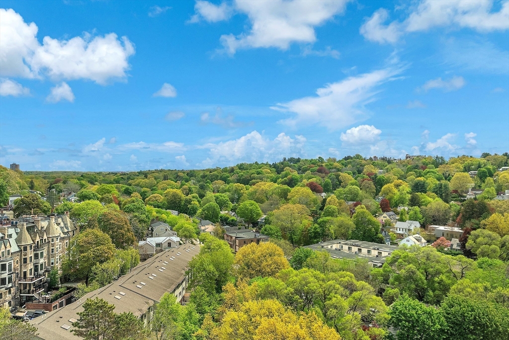 1731 Beacon Street, Unit 1515 Brookline, MA 02445 - Photo 28 of 40 a view of a bunch of trees and houses