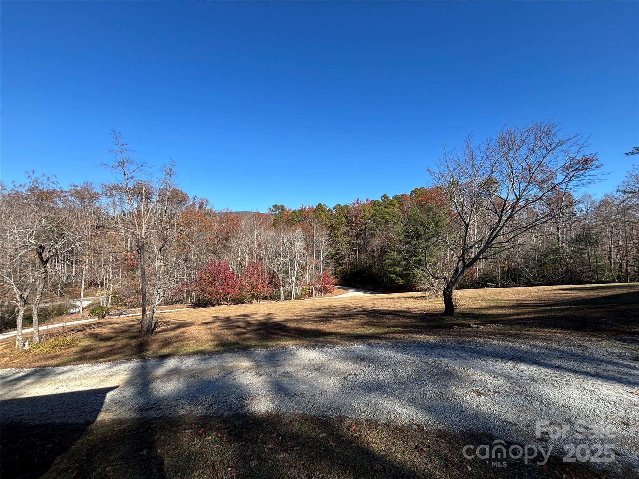 930 DC Johnson Road Marion, NC 28752 - Photo 12 of 37 Gallery Image 12