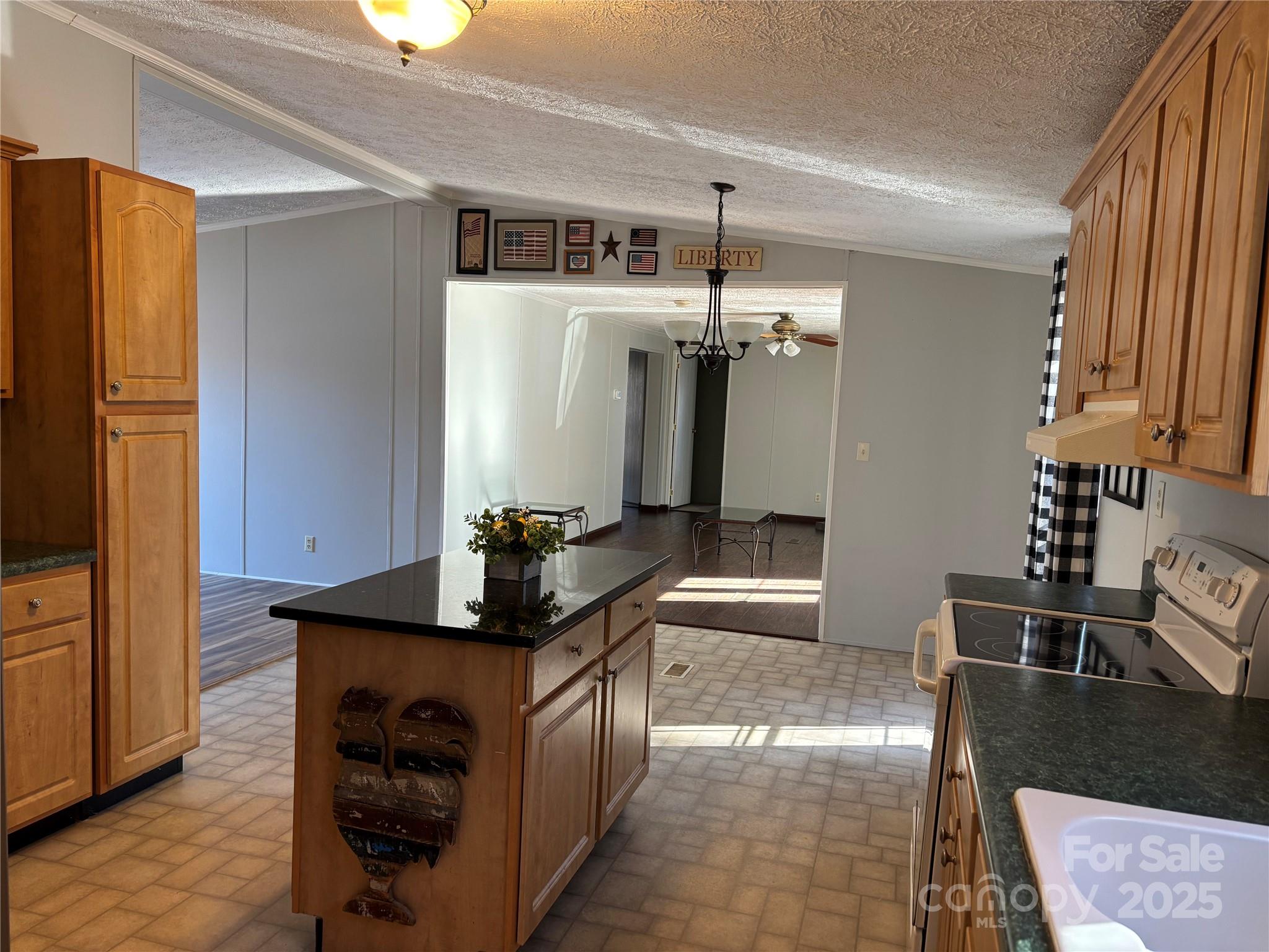 930 DC Johnson Road Marion, NC 28752 - Photo 13 of 37 Gallery Image 13