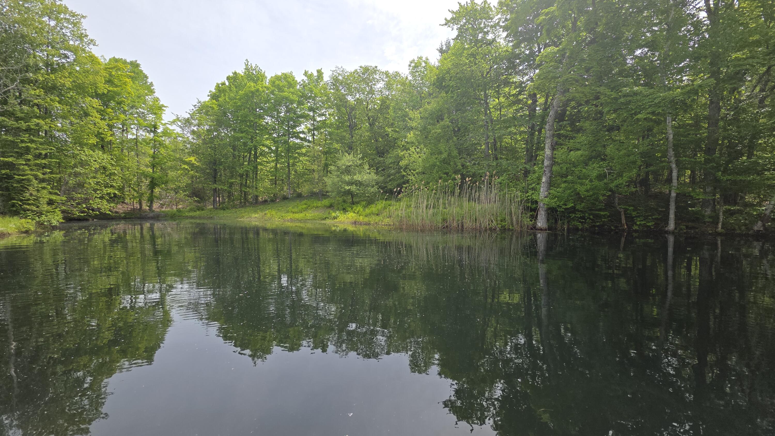 Lot 17 East Thorndike Road Thorndike, ME 04986 - Photo 27 of 31 Pond