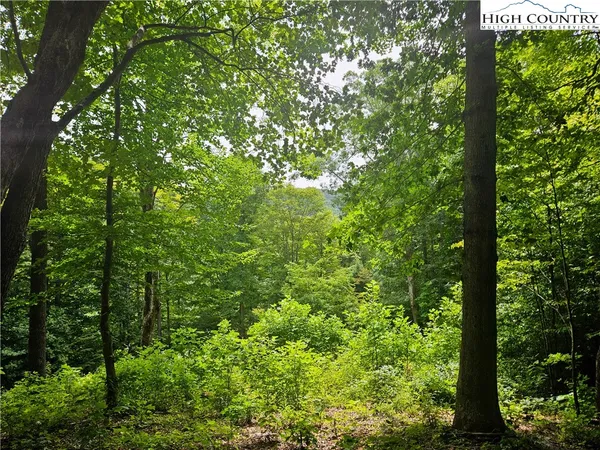 $65,900 | Whispering Breeze Ridge, Todd, NC 28684