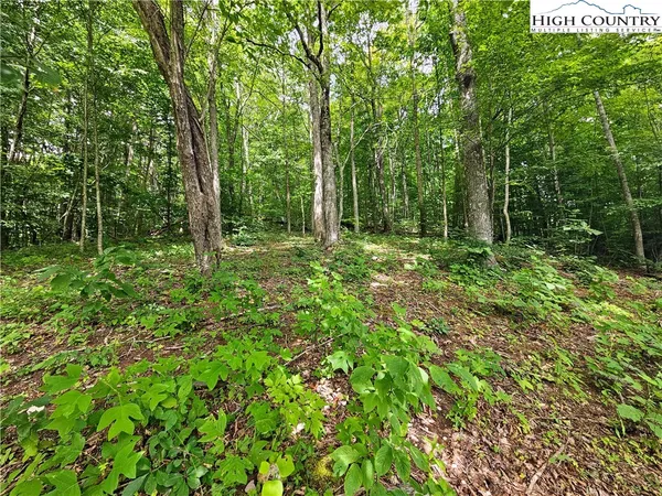 $65,900 | Whispering Breeze Ridge, Todd, NC 28684