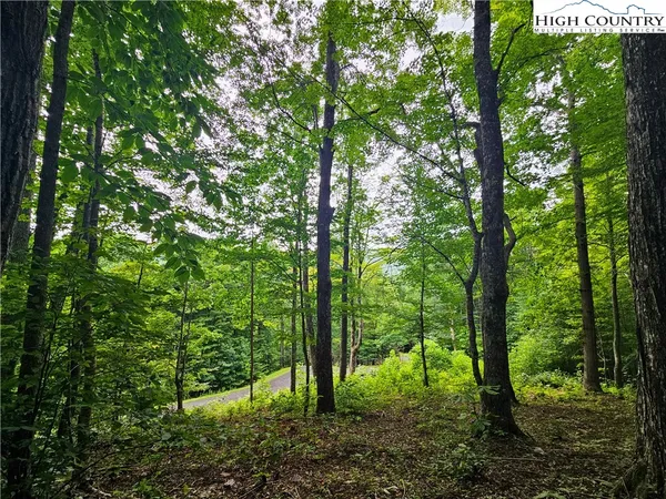 $65,900 | Whispering Breeze Ridge, Todd, NC 28684