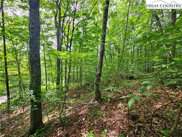 $65,900 | Whispering Breeze Ridge, Todd, NC 28684