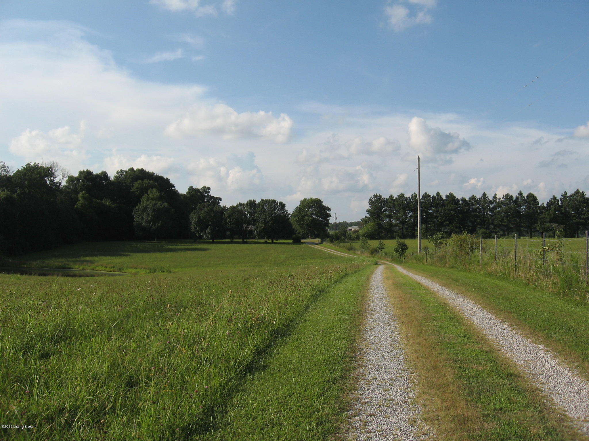 4954 Caney Creek Road Caneyville, KY 42721 - Photo 12 of 34 IMG_1989
