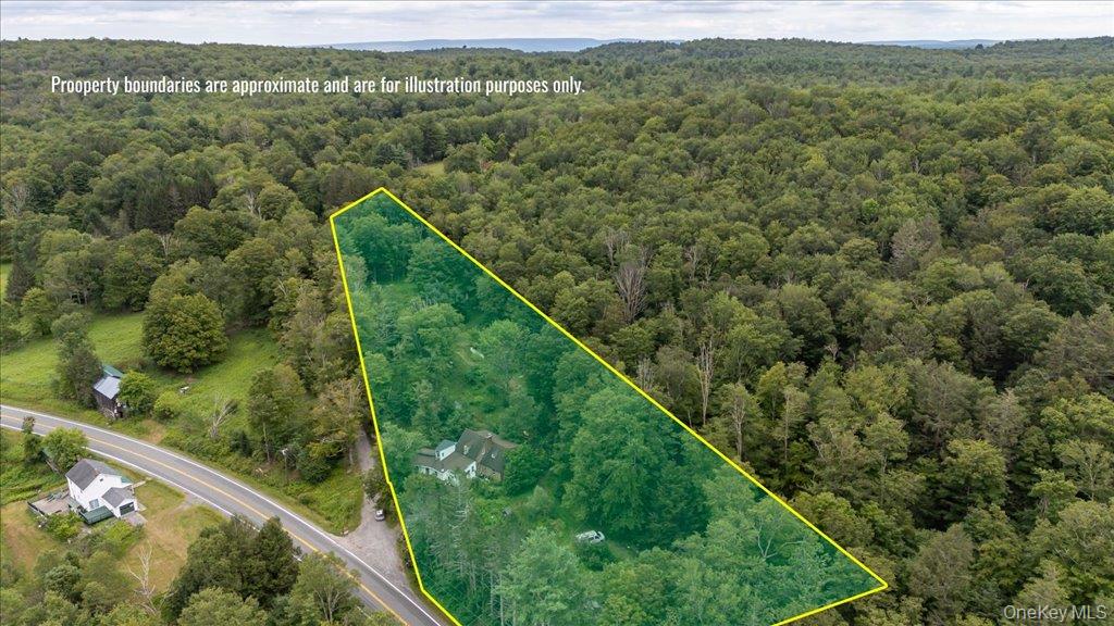 2 Couzines Road Woodbourne, NY 12788 - Photo 2 of 34