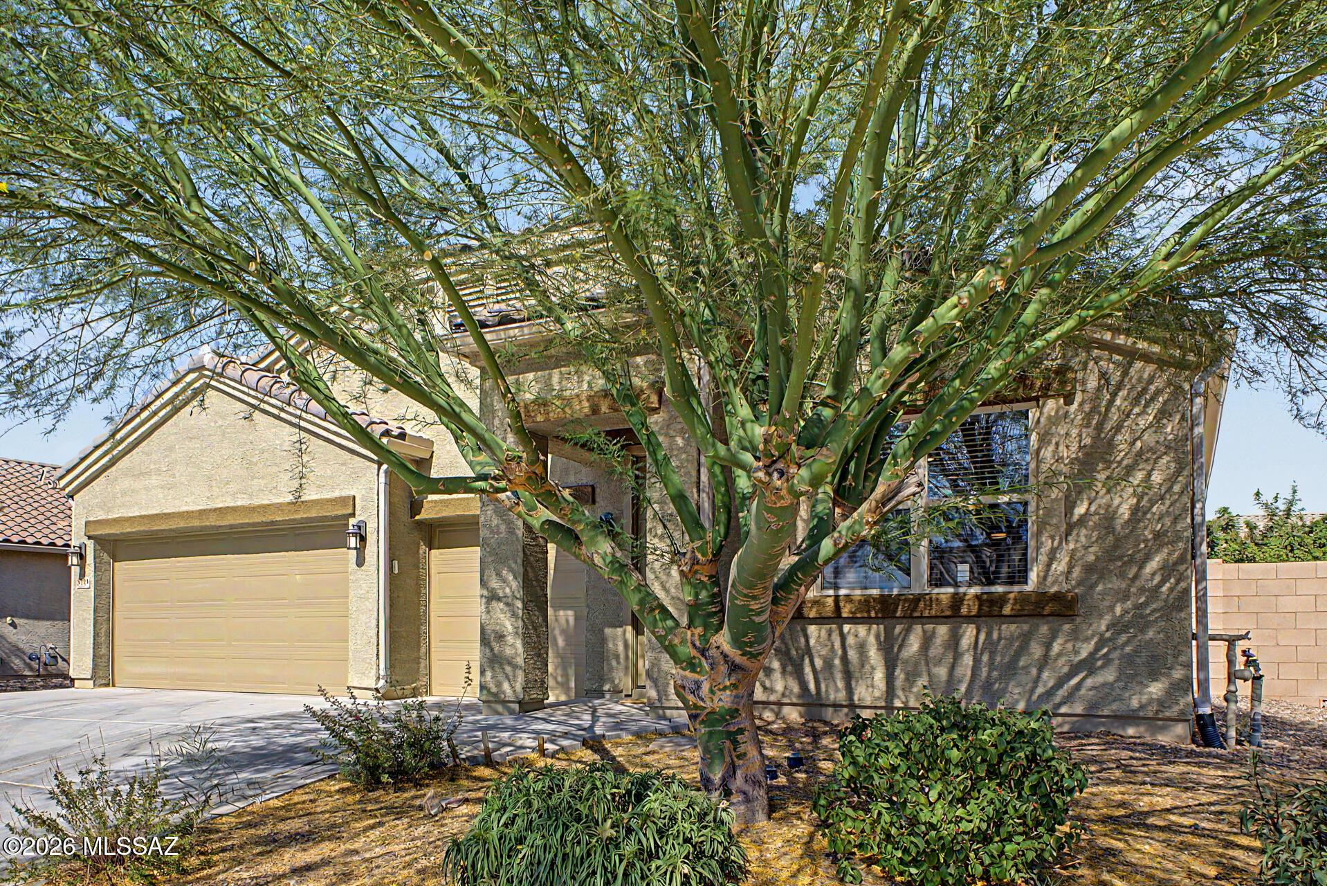 9794 North Howling Wolf Road Marana, AZ 85653 - Photo 8 of 41 06-Howling Wolf