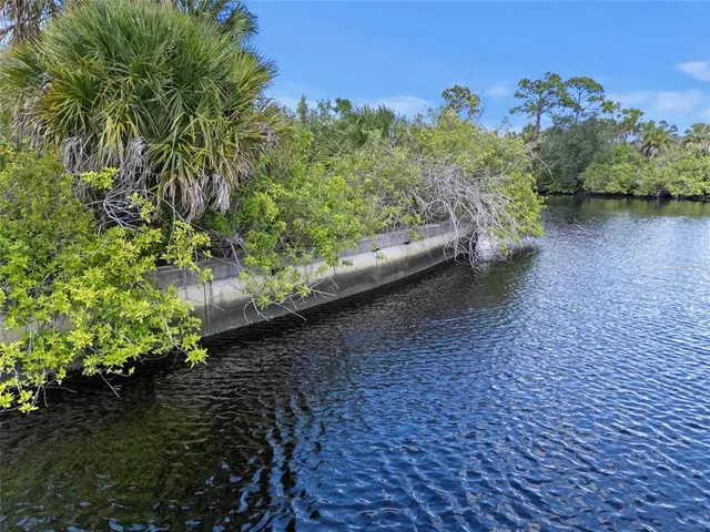 a view of a garden with a bench