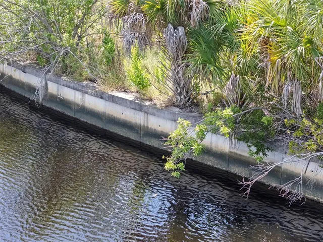 a view of a yard with plants and trees