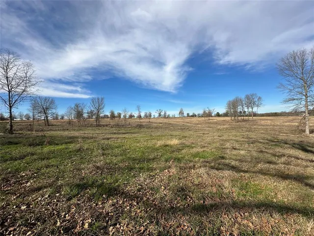 a view of yard and ocean