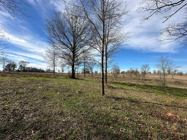 a view of a field with an trees