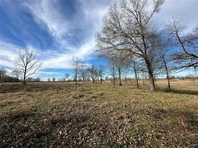 a view of large trees with wooden fence