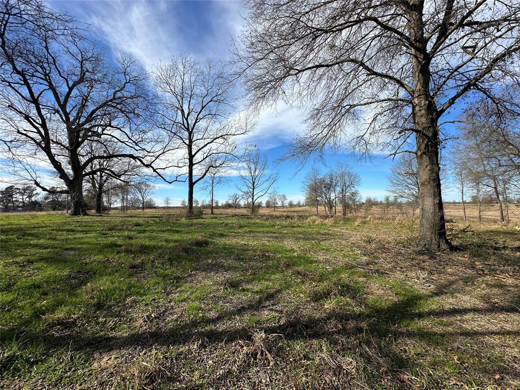 0 County Road 2425 Como, TX 75431 - Photo 14 of 36 a view of yard with tree