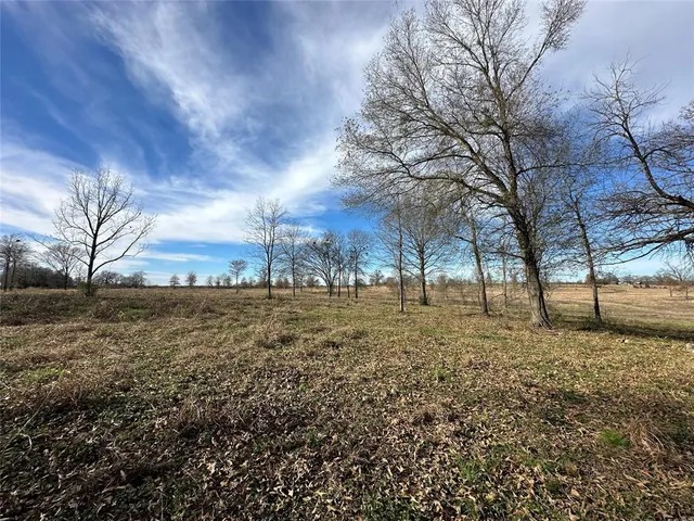 a view of large trees with wooden fence
