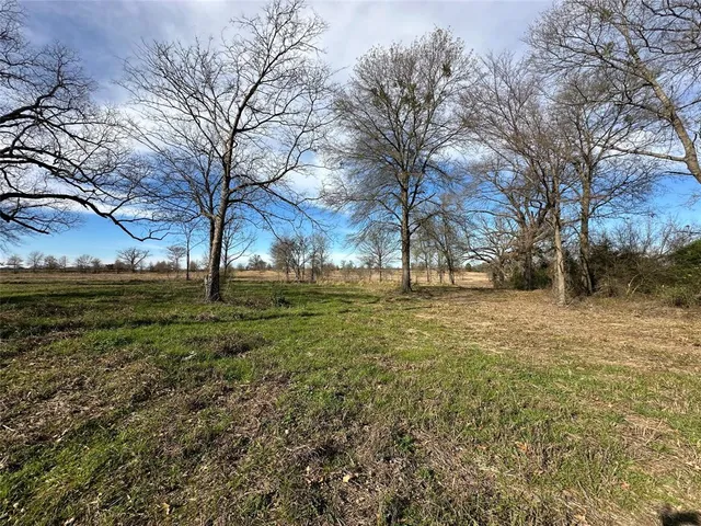 a view of yard with tree s