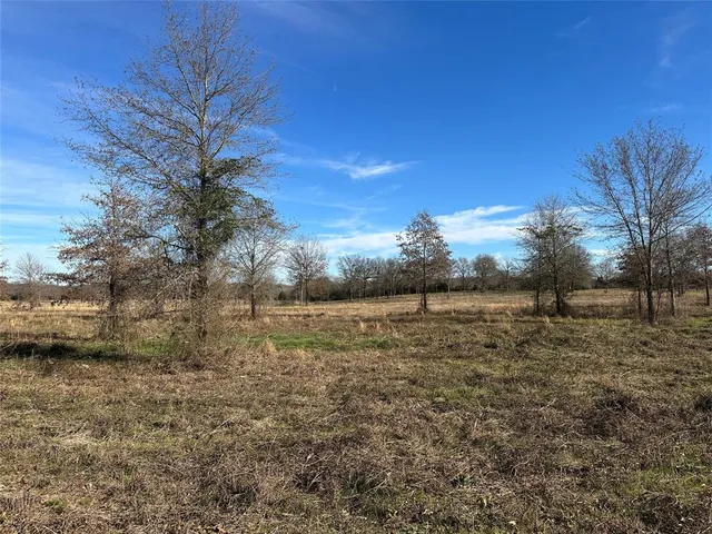 a view of a yard with lots of bushes