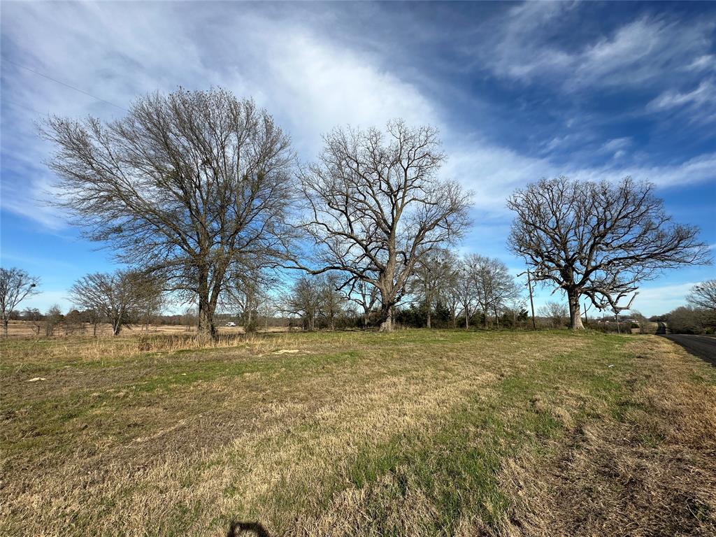 0 County Road 2425 Como, TX 75431 - Photo 20 of 36 a view of a yard with a house