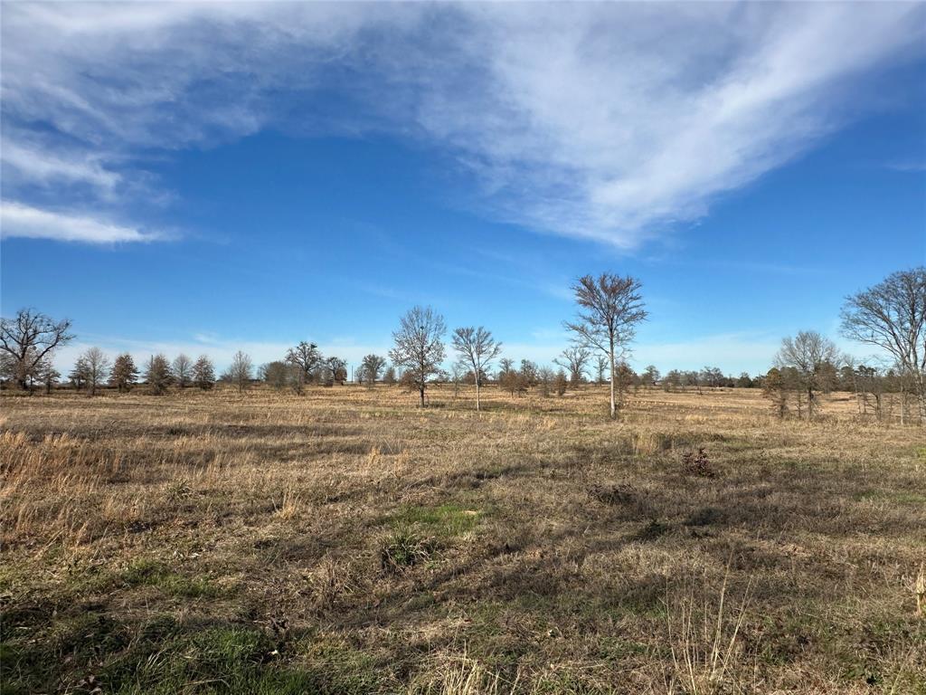 0 County Road 2425 Como, TX 75431 - Photo 21 of 36