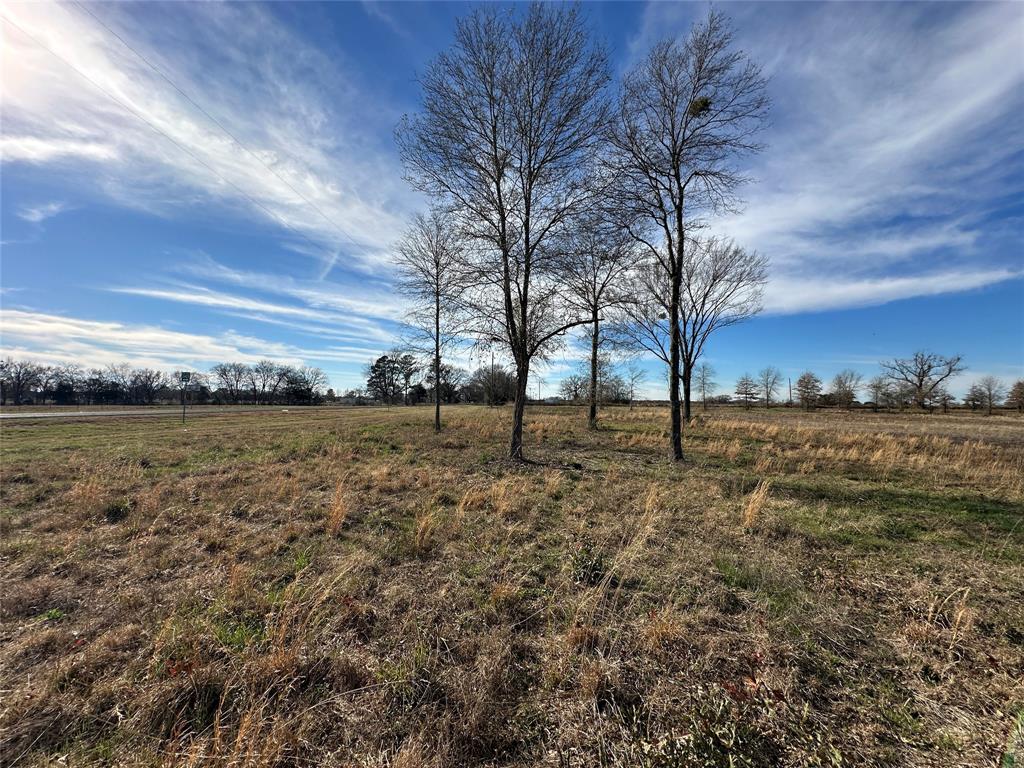 0 County Road 2425 Como, TX 75431 - Photo 22 of 36 a view of large trees with a yard