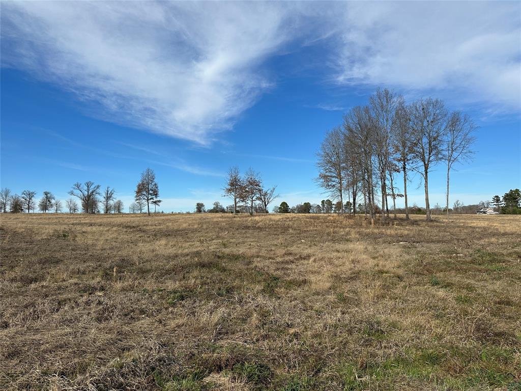0 County Road 2425 Como, TX 75431 - Photo 24 of 36 a view of large tree with outdoor space