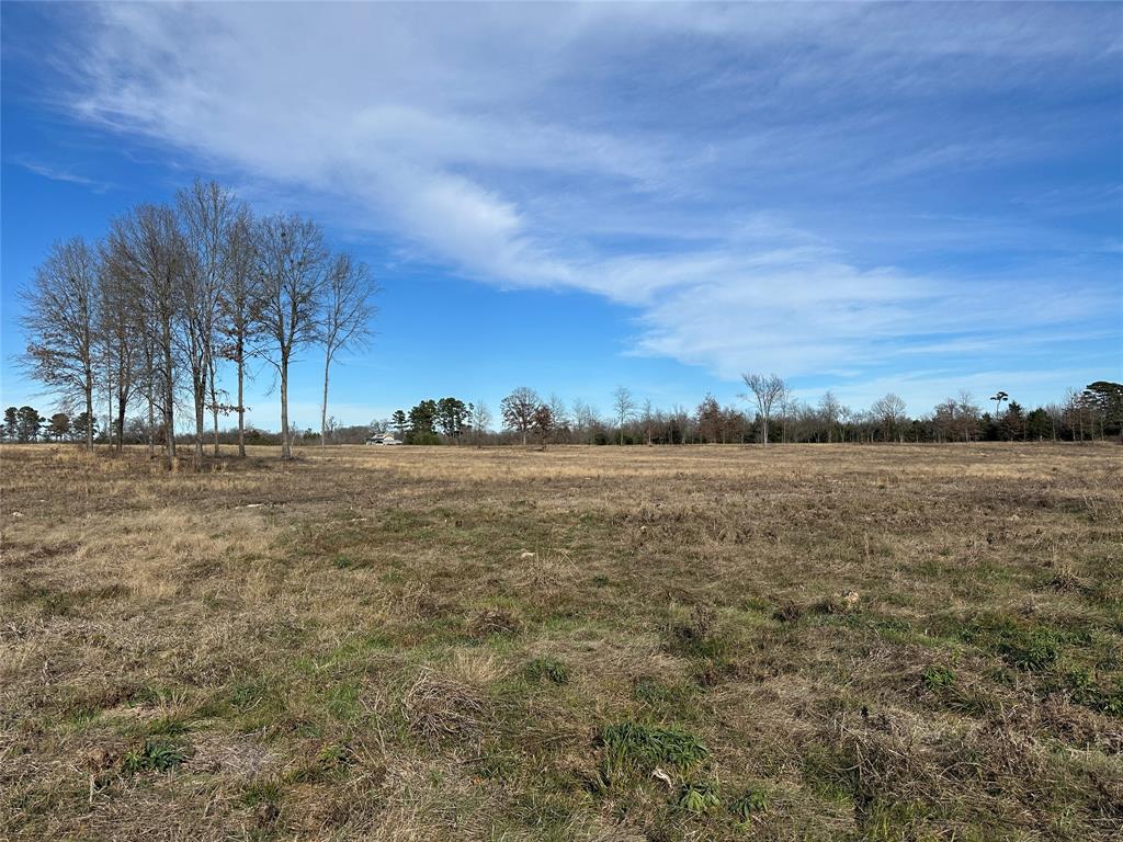 0 County Road 2425 Como, TX 75431 - Photo 25 of 36 a view of lake view