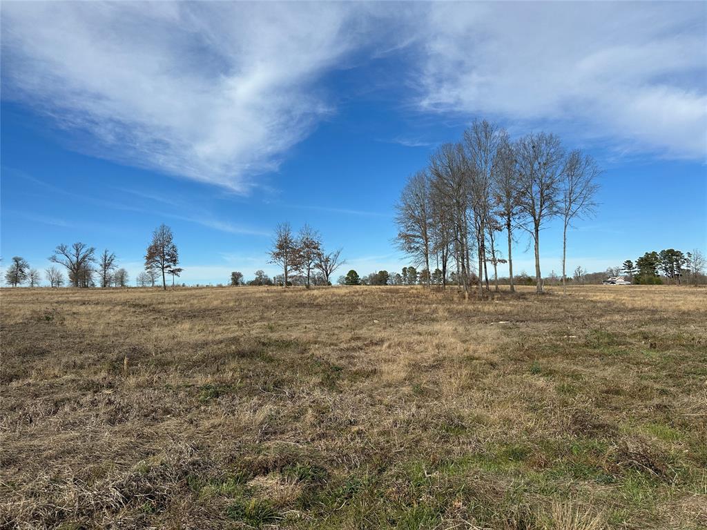 0 County Road 2425 Como, TX 75431 - Photo 4 of 36 a view of ocean