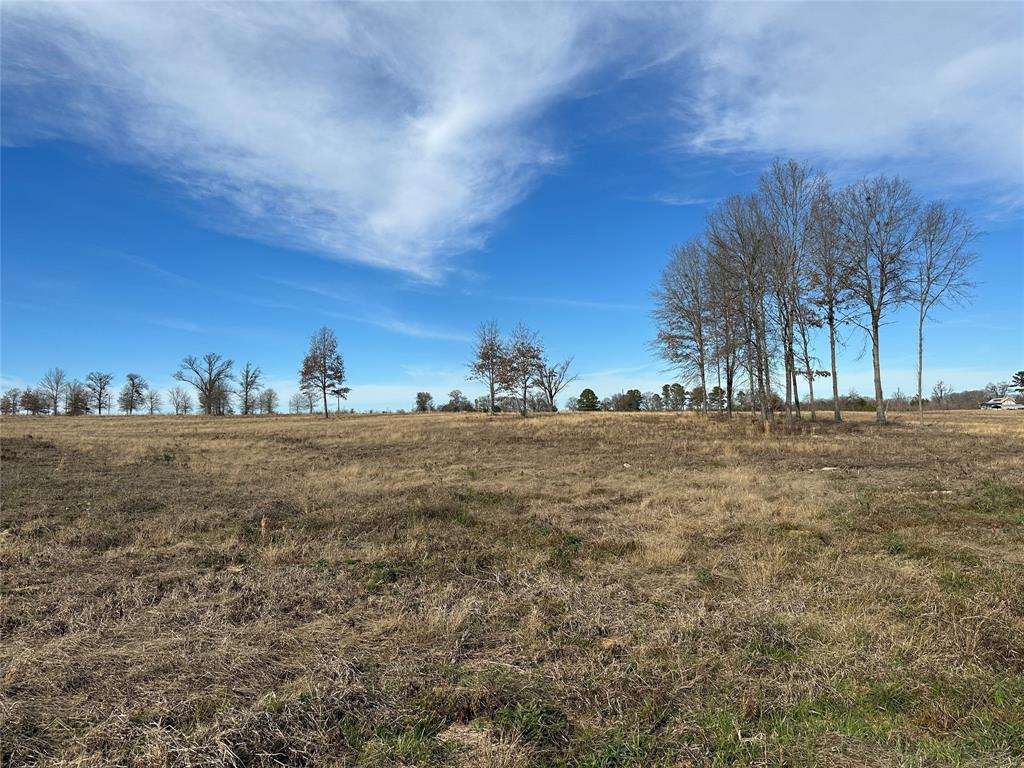 0 County Road 2425 Como, TX 75431 - Photo 5 of 36 a view of large trees and outdoor space