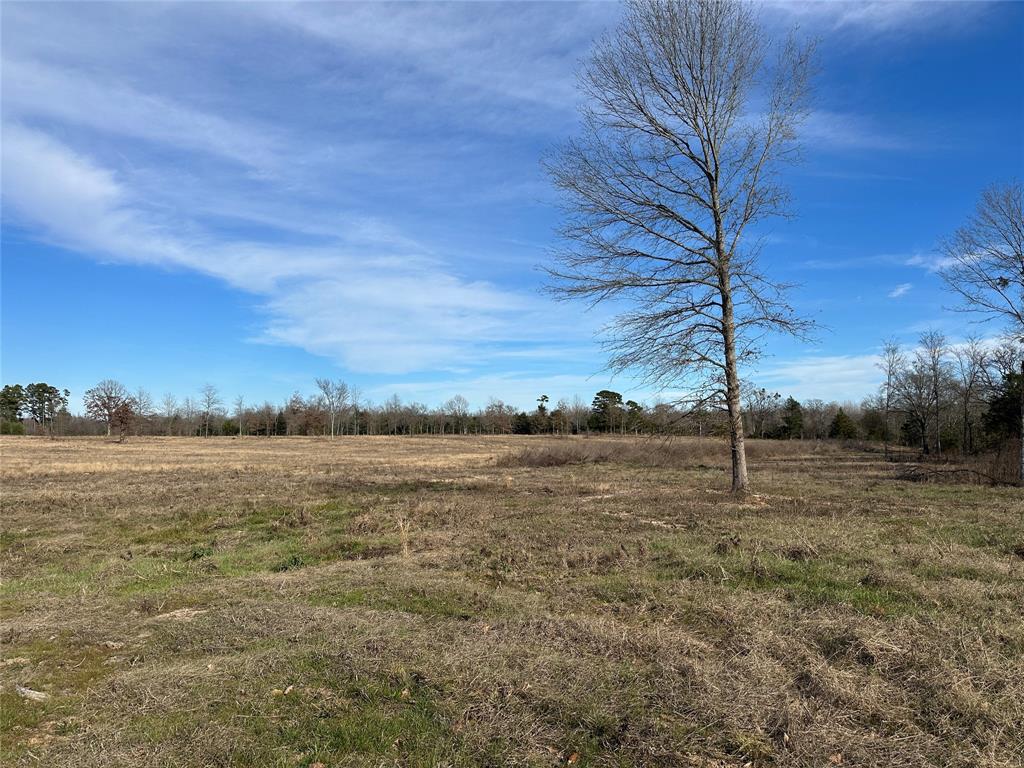 0 County Road 2425 Como, TX 75431 - Photo 7 of 36 a view of an outdoor space with mountain view