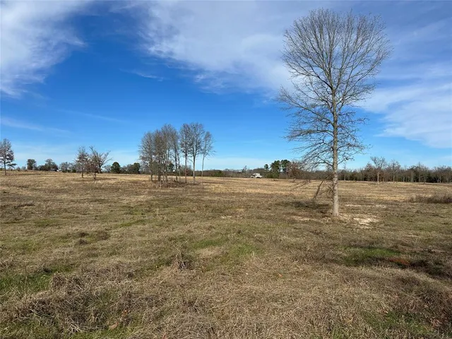 a view of a yard with an trees