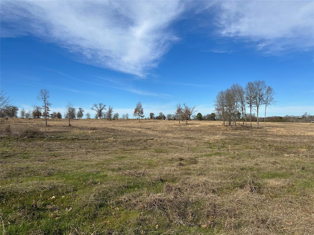 0 County Road 2425 Como, TX 75431 - Photo 10 of 36 a view of ocean