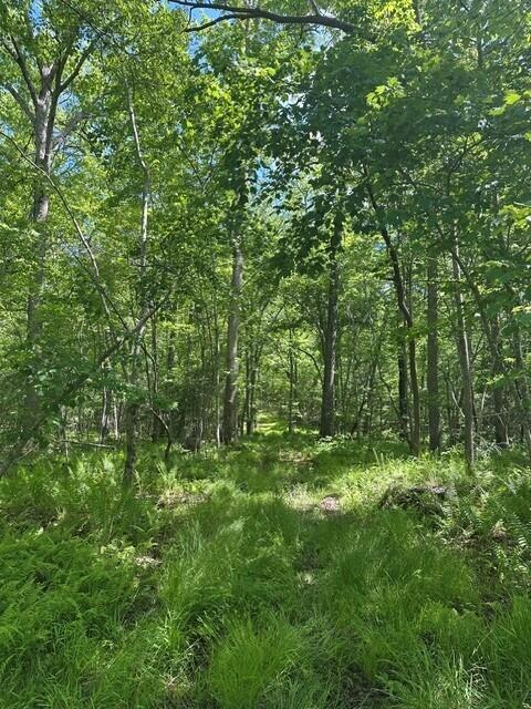 142 Cole Road Deer Lodge, TN 37726 - Photo 14 of 77 17